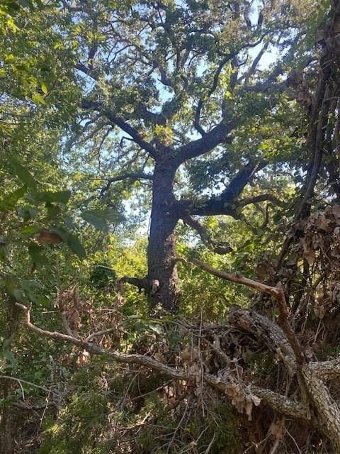 6840 County Road 327, Blanket, TX 76432 - photo 7