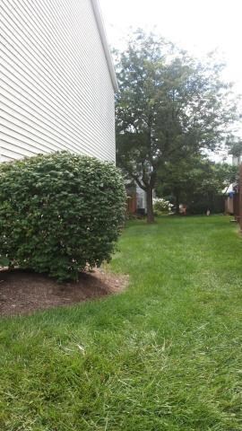 905 SORAMILL SIDE VIEW 2