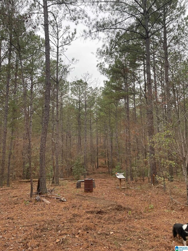 00 County Road 632 unit Acres, Roanoke, AL 36274 - photo 3