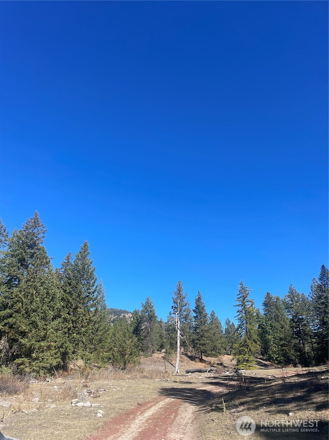 0 High Country Rd W unit NWM2438687, Tonasket, WA 98855 - photo 5