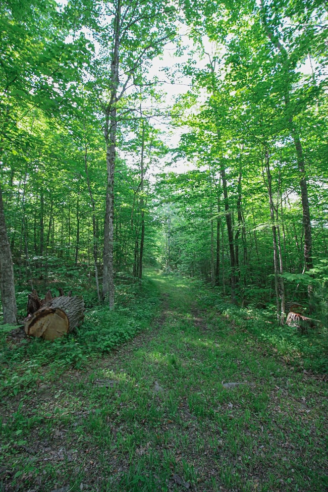 Lovely Paths throughout the Woods