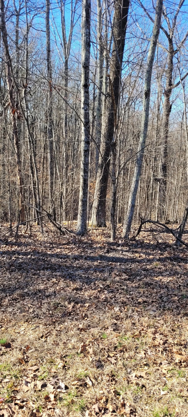 1 Eagle Shore Dr, Dover, TN 37058 - photo 6