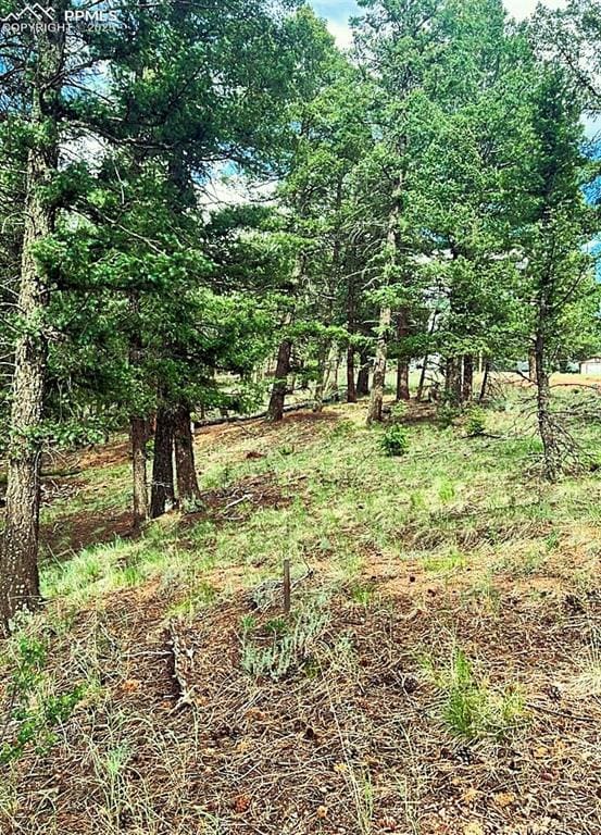 179 Kenosha Way, Florissant, CO 80816 - photo 4