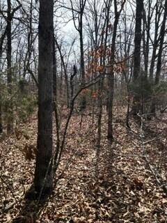 Vacant Land-Photo