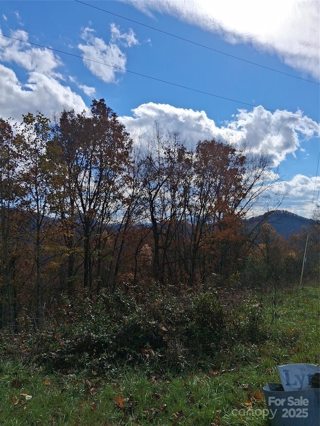 8565 Sylva Rd, Franklin, NC 28734 - photo 2