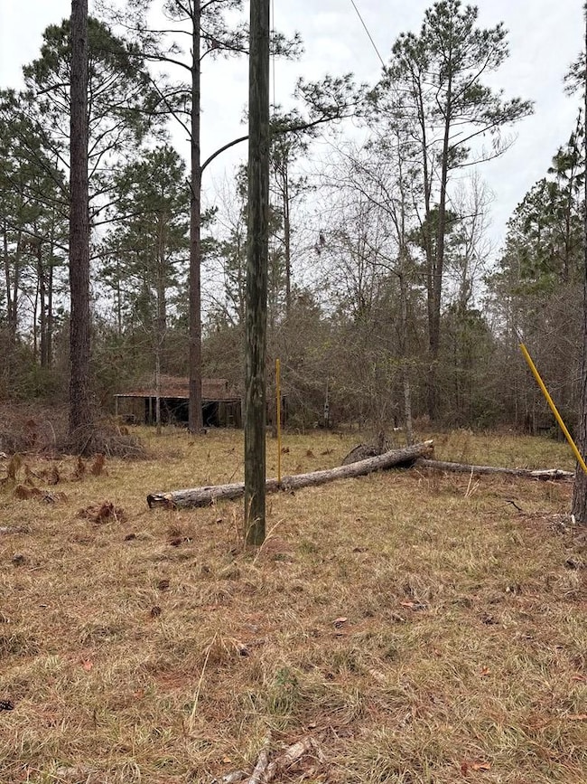 223 Hill Rd, Lyons, GA 30436 - photo 2