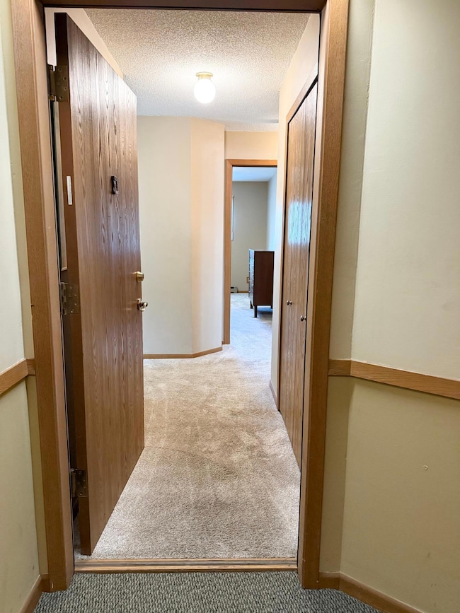 2114 Village Dr unit 221, Red Wing, MN 55066 - photo 3