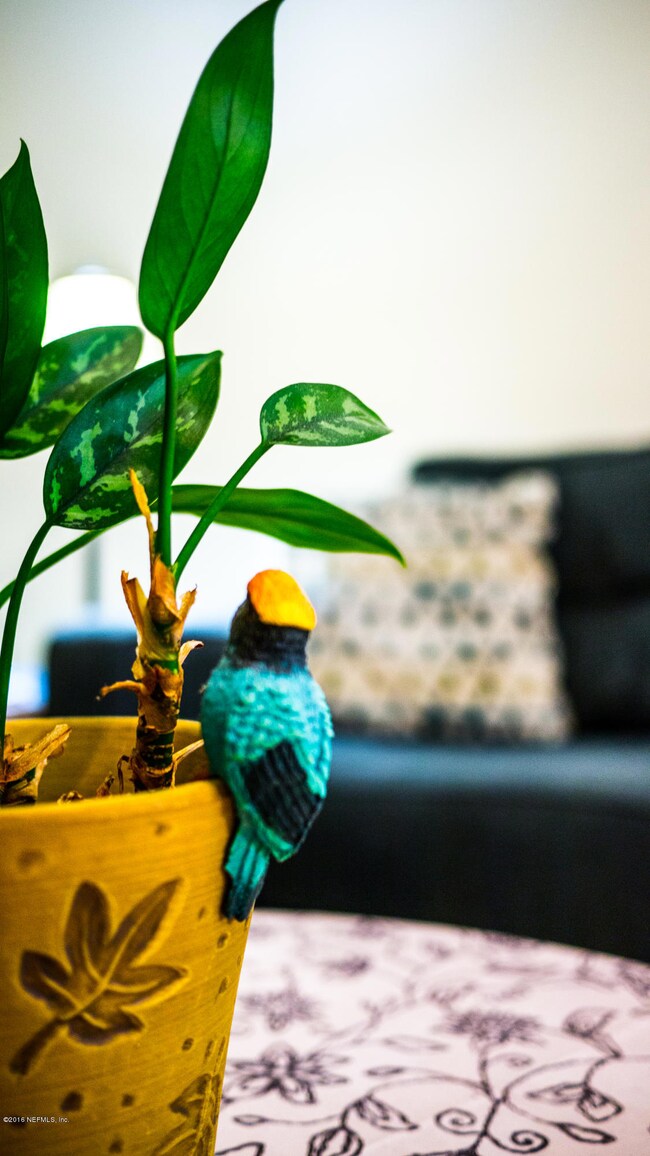 7751 Mordecai Ct, Jacksonville, FL 32210 - photo 3