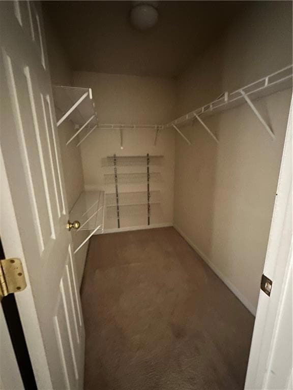 Walk in closet featuring carpet