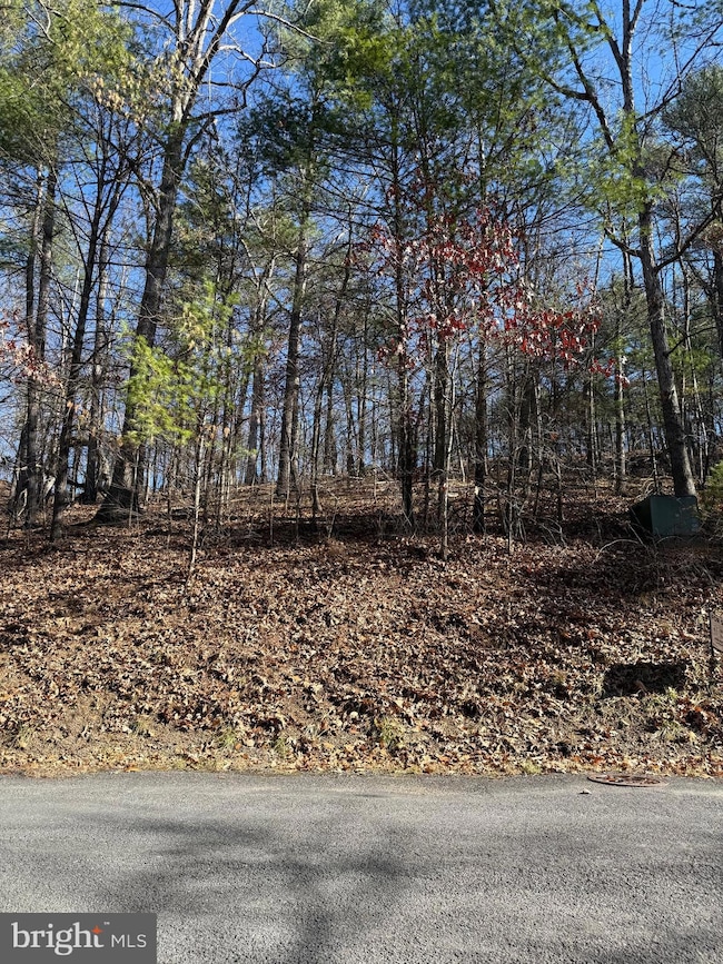 0 Susan Rd, Mount Jackson, VA 22842 - photo 4