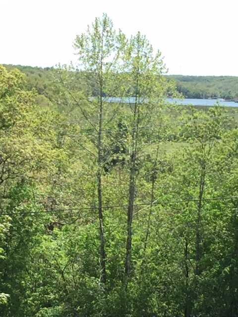 1 Clubhouse Place, Bella Vista, AR 72715 - photo 2