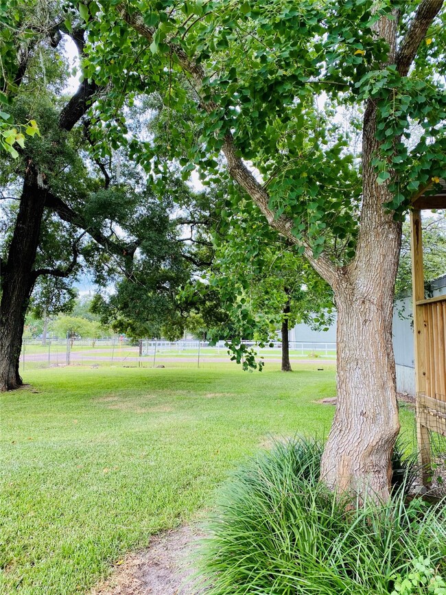 11759 Big Holly Ln, Conroe, TX 77385 - photo 2