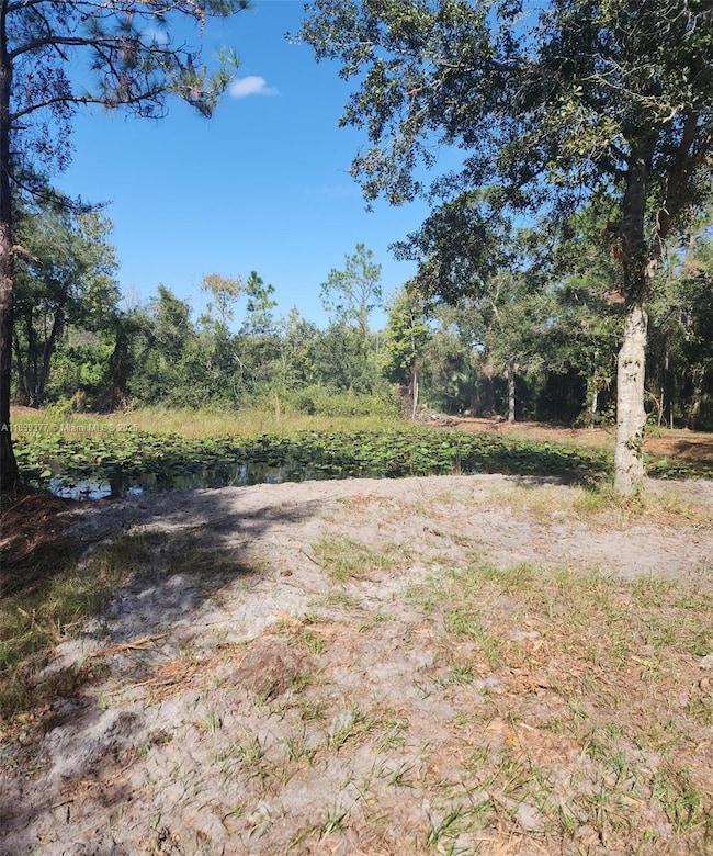 13012 NE 14th Ave, Okeechobee, FL 34972 - photo 3