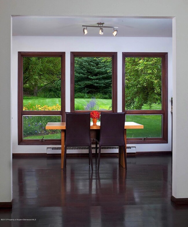 100 Big Pinon Dr, Basalt, CO 81621 - photo 6