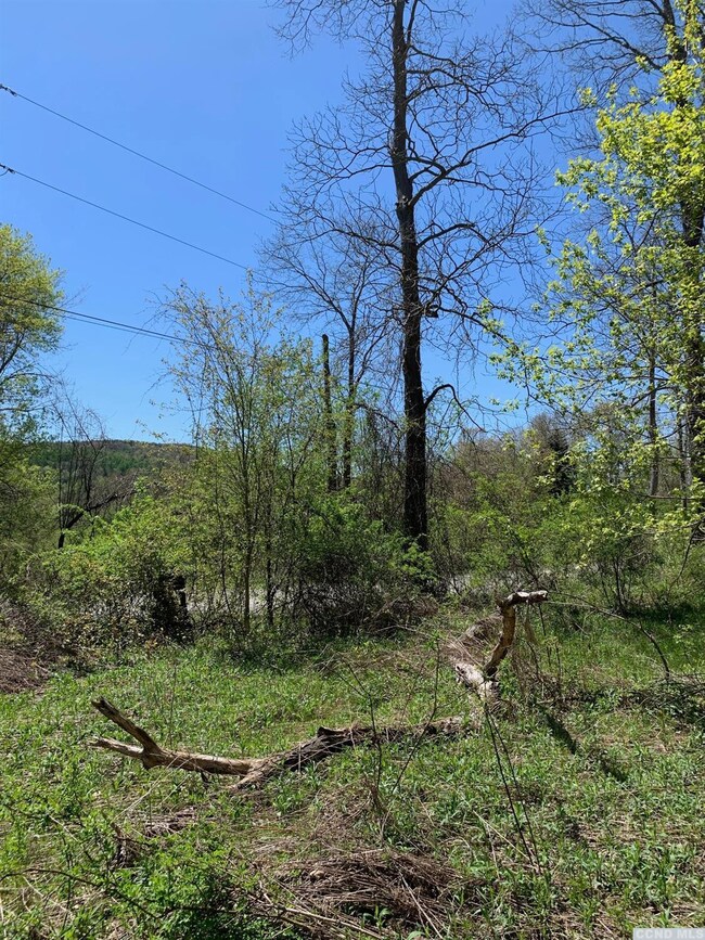 0 Goetz Rd, Canaan, NY 12060 - photo 6