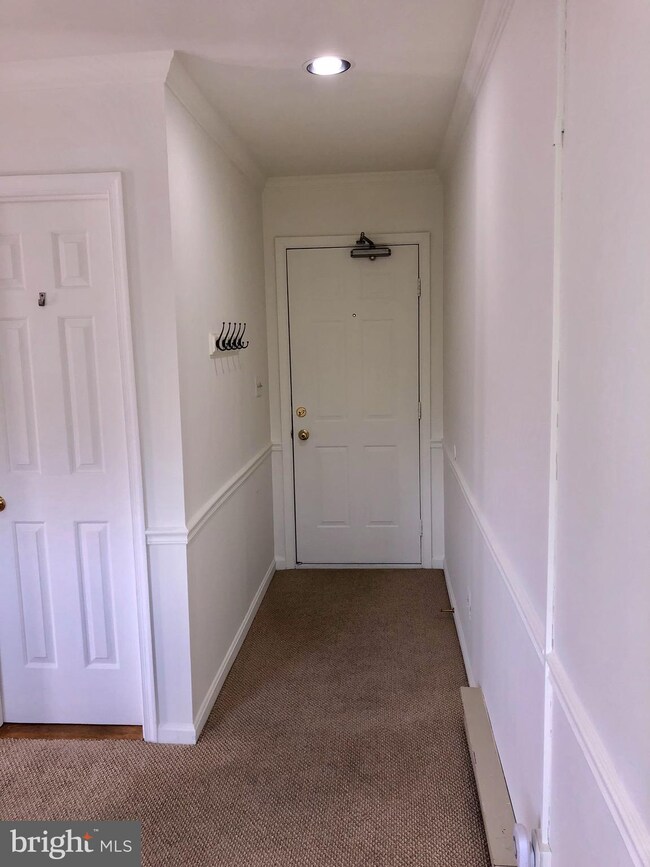2 E Federal St unit 250, Middleburg, VA 20117 - photo 3