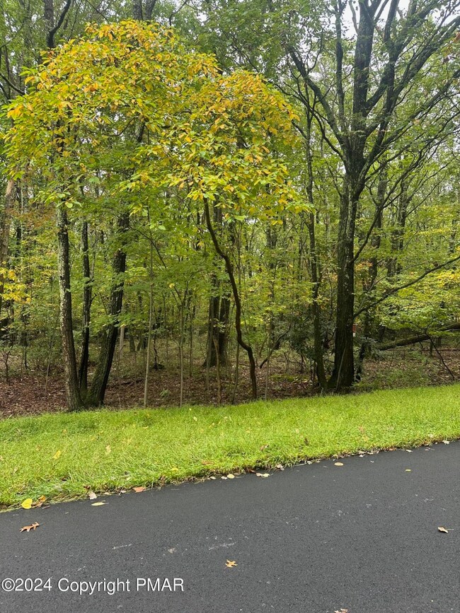 0 McMichaels 42 Ct, Stroudsburg, PA 18360 - photo 2