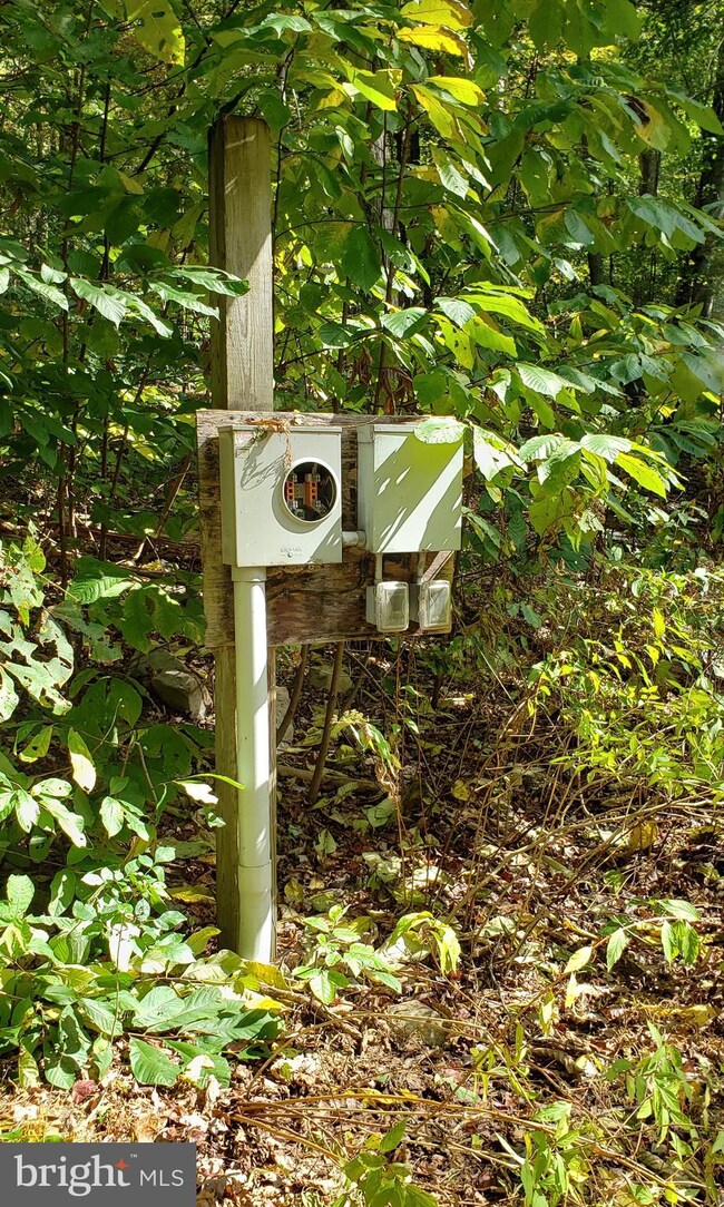 0 Briary Bottom Ln, Great Cacapon, WV 25422 - photo 3
