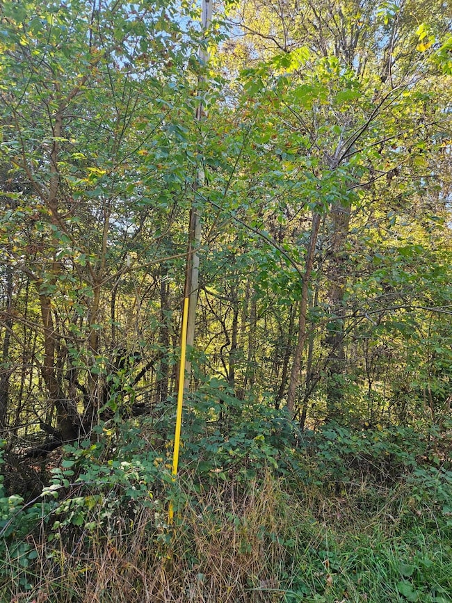 Electric pole