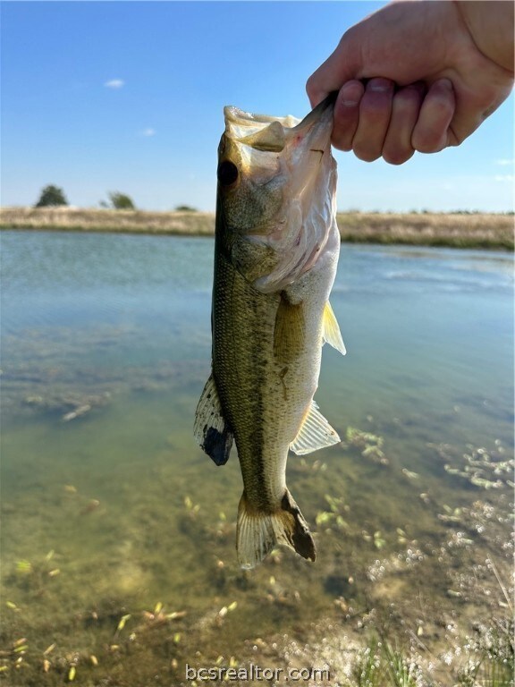 1716 Cr 469, Coupland, TX 78615 - photo 6