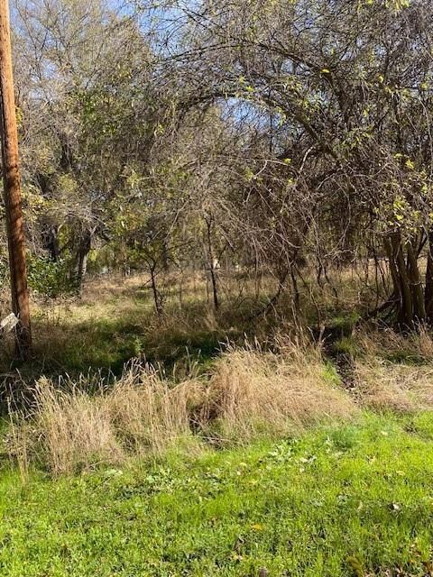 7073 Cherokee Trail, Horseshoe Bend, TX 76087 - photo 5