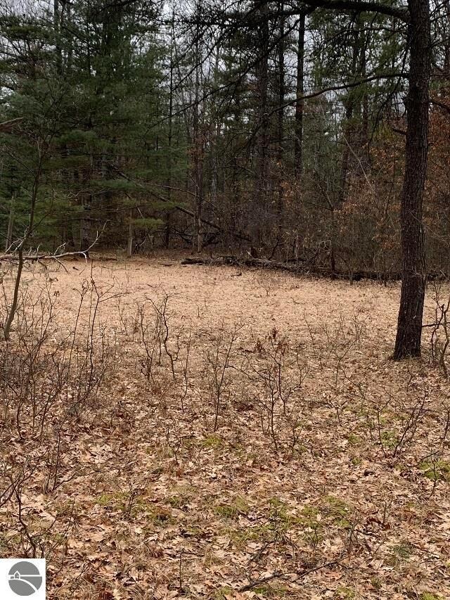 0 Morrison Rd unit 1898517, Alger, MI 48610 - photo 6