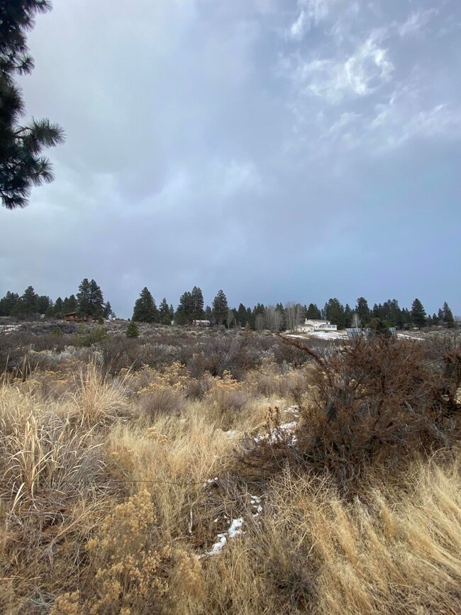 Modoc Point