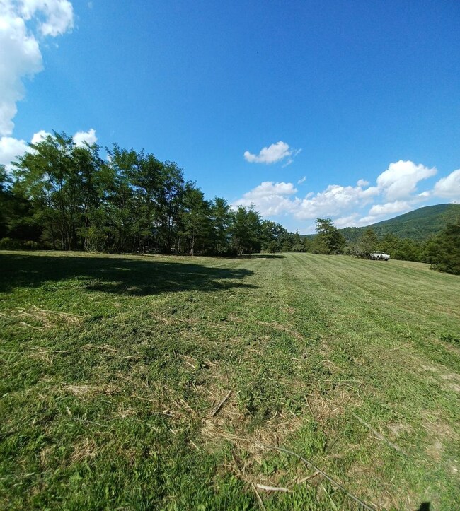 18264 Crab Run Rd, Bergton, VA 22811 - photo 5