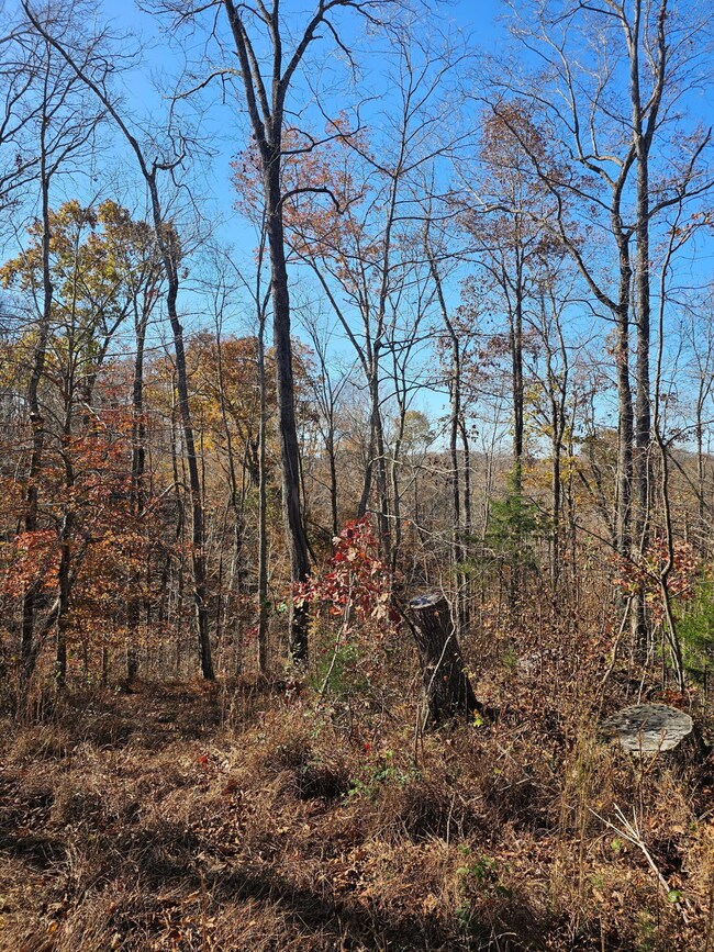 0 Lantern Way, Jamestown, KY 42629 - photo 7