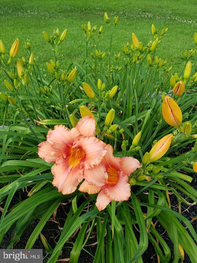 1226 Clearfield Cir, Lutherville Timonium, MD 21093 - photo 3