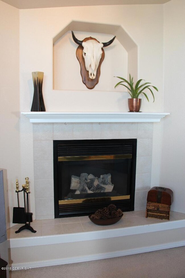 Living room gas fireplace