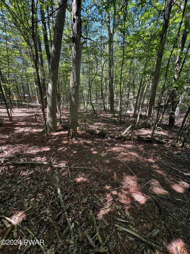 0 Westfall Drive Wild Acres unit PWBPW242293, Dingmans Ferry, PA 18328 - photo 7