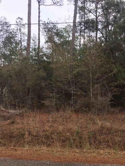 Lot 2 Maple Ln, Mandeville, LA 70448 - photo 2