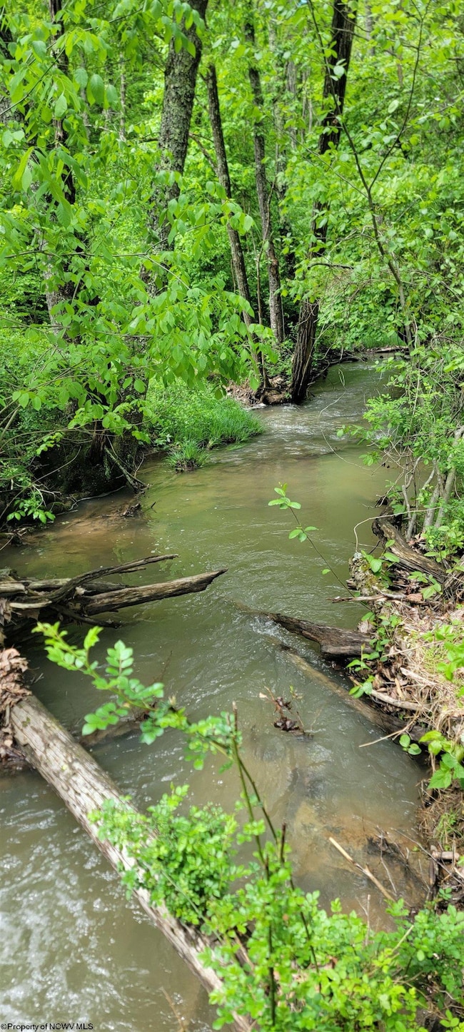 TBD Maple Run, Fairmont, WV 26554 - photo 5