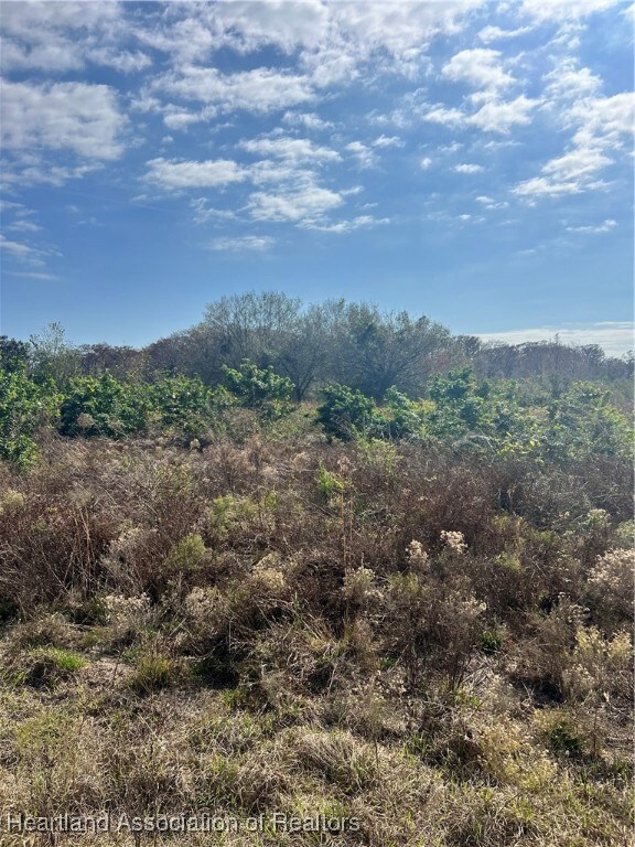 4321 Us Highway 98, Sebring, FL 33876 - photo 5