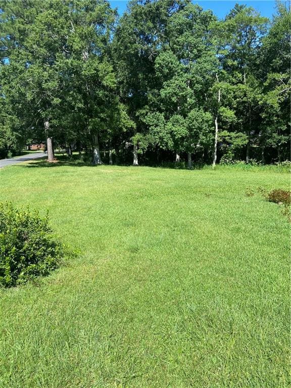 View of green lawn