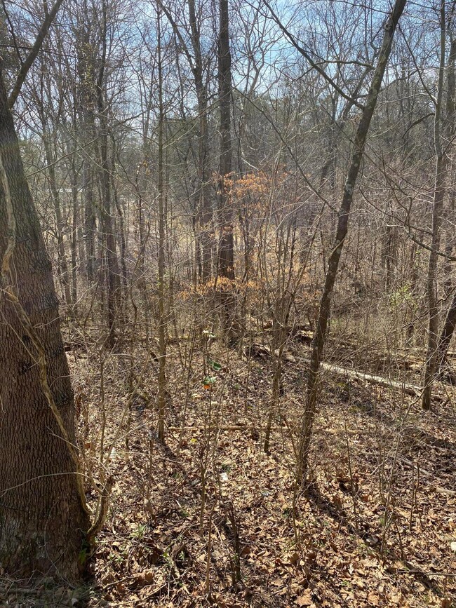 Lot 882 Stonegate Dr unit 3, Burnside, KY 42519 - photo 3