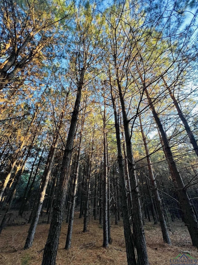 TBD Cr 3659, Queen City, TX 75572 - photo 2