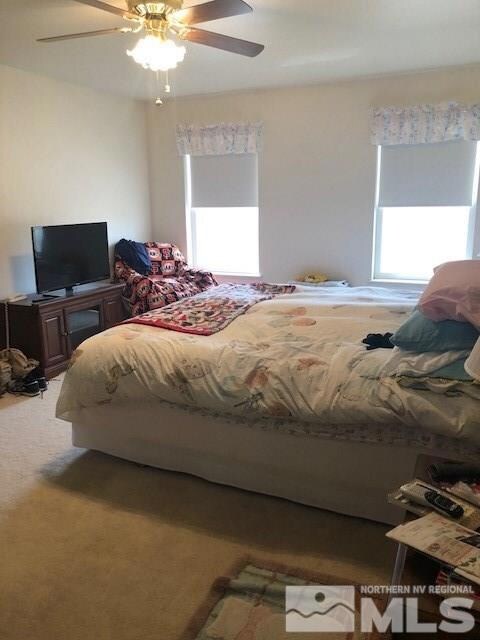 923 Driftwood Ln, Fallon, NV 89406 - photo 7