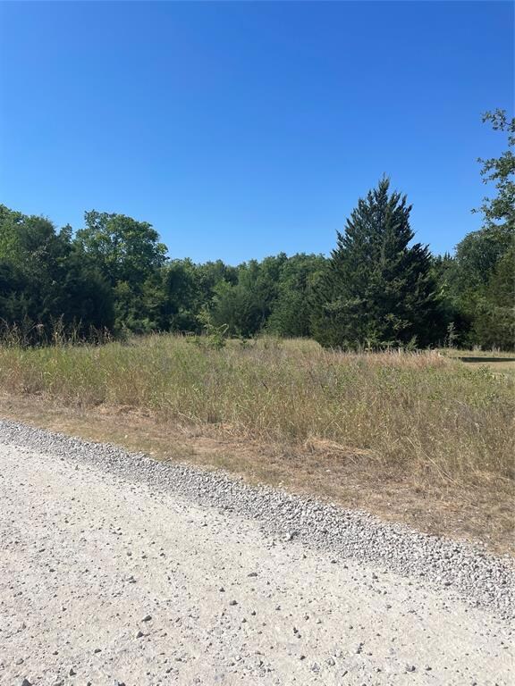 TBD SE Cr 3048d, Corsicana, TX 75109 - photo 5
