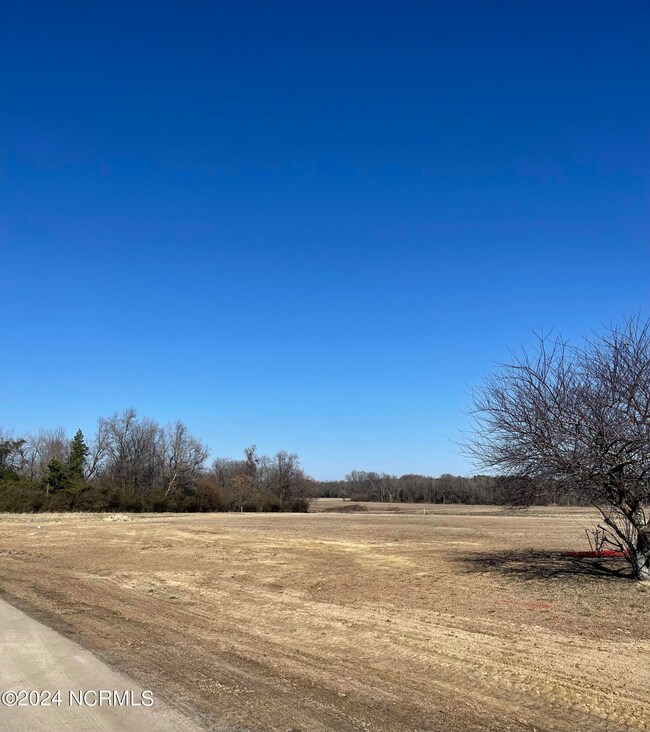 13 Aspen Ridge Ct, Deep Run, NC 28525 - photo 5