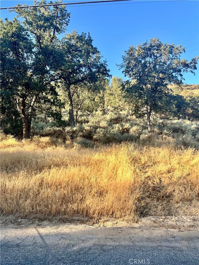 0 Alps Dr unit PI24182396, Tehachapi, CA 93561 - photo 2