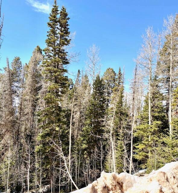 0 M&b unit L3,BB,SVE, UB, Brian Head, UT 84719 - photo 3