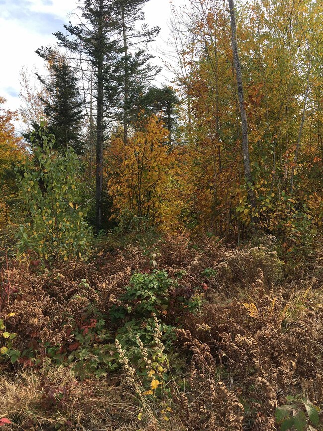 527 N Groton Rd, Groton, NH 03241 - photo 2