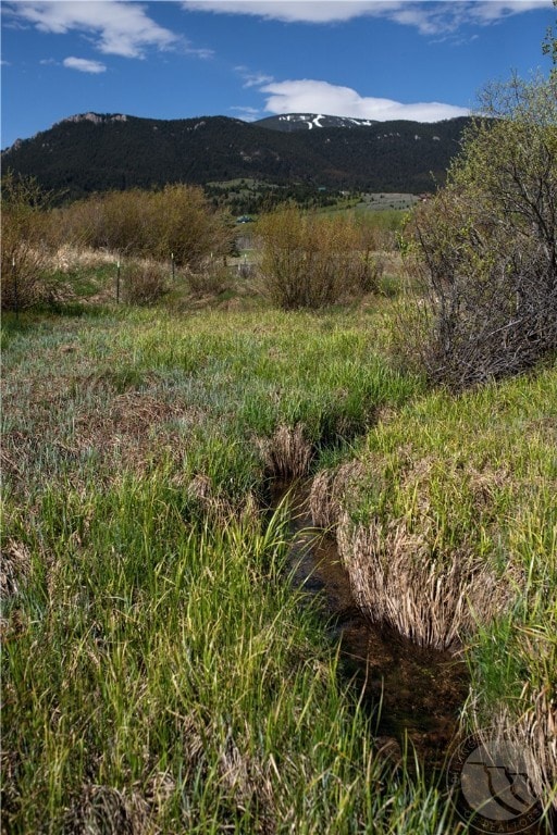 Small summer ditch meanders through lot