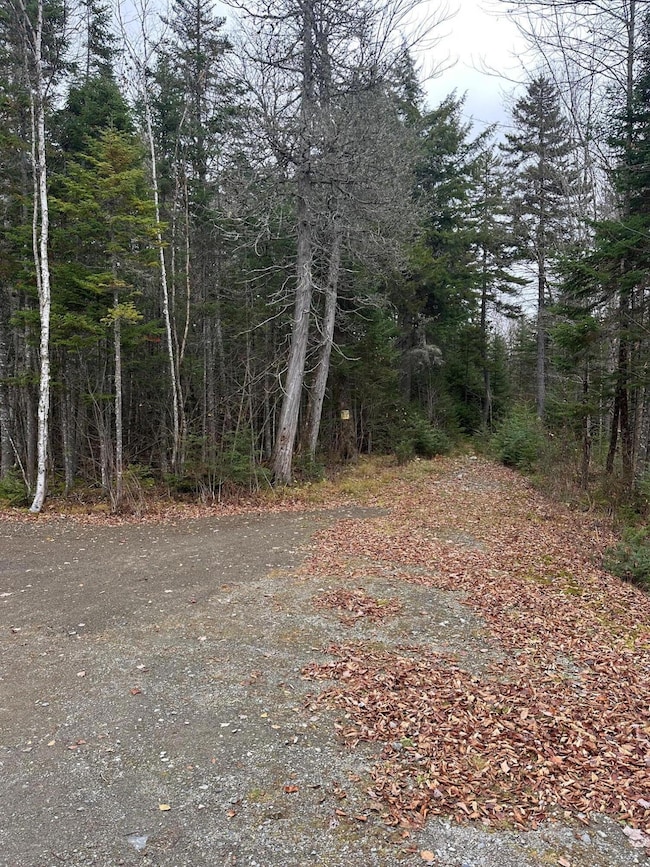 143 Paradise Ln, Tomhegan Township, ME 04478 - photo 7