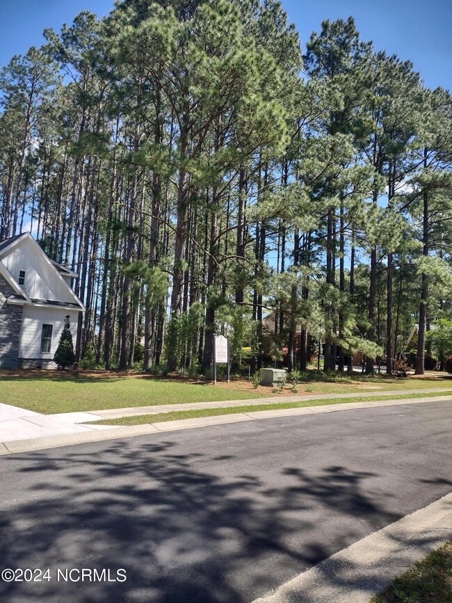 IMG_20240405_121442918_HDR (1)