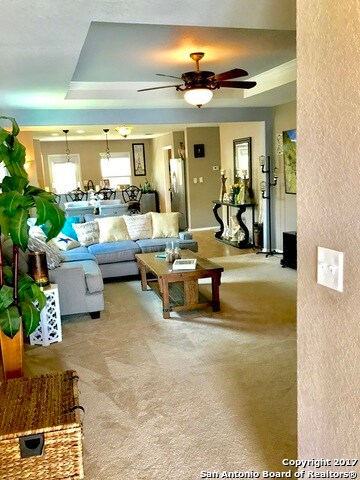 3834 Bent Grass, San Antonio, TX 78261 - photo 4