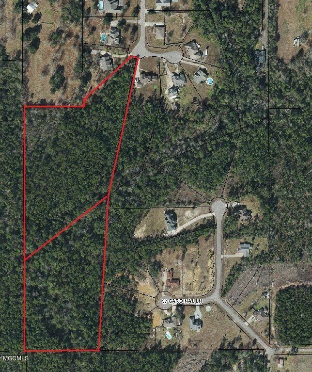 RAINTREE AERIAL