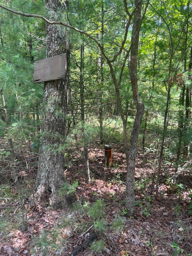 0 Sarah Ln unit 655776, Basye, VA 22810 - photo 2